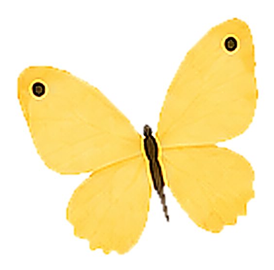 Floating butterfly