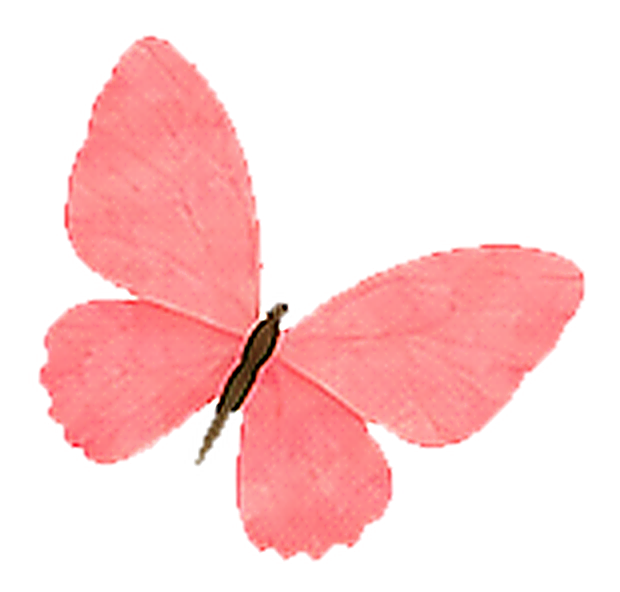 Floating butterfly
