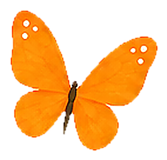 Floating butterfly