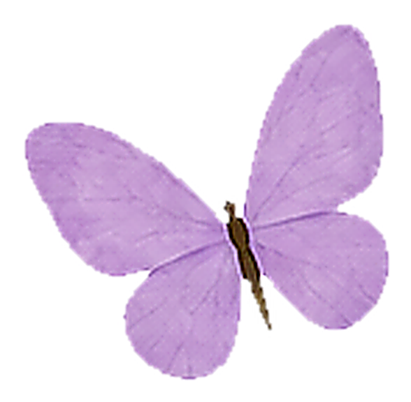 Floating butterfly