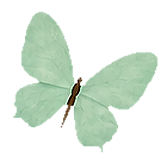 Floating butterfly