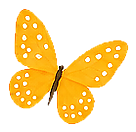 Butterfly on price