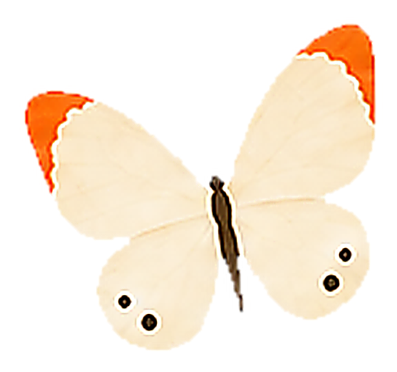 Floating butterfly